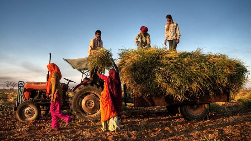 india, indian, goverment, farmers, help, rural, economy, encouragement, ordinance, applicable