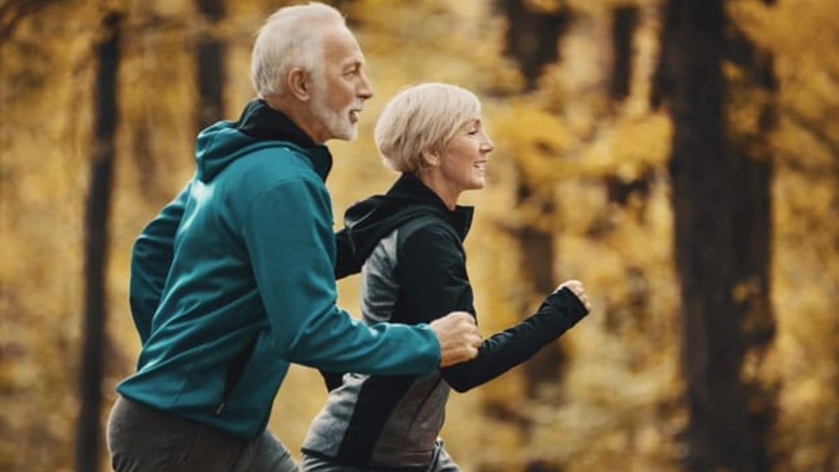 स्वस्थ जीवनशैली (Healthy Lifestyle), संतुलित आहार (Balanced Diet), नियमित व्यायाम (Regular Exercise), पर्याप्त नींद (Adequate Sleep)