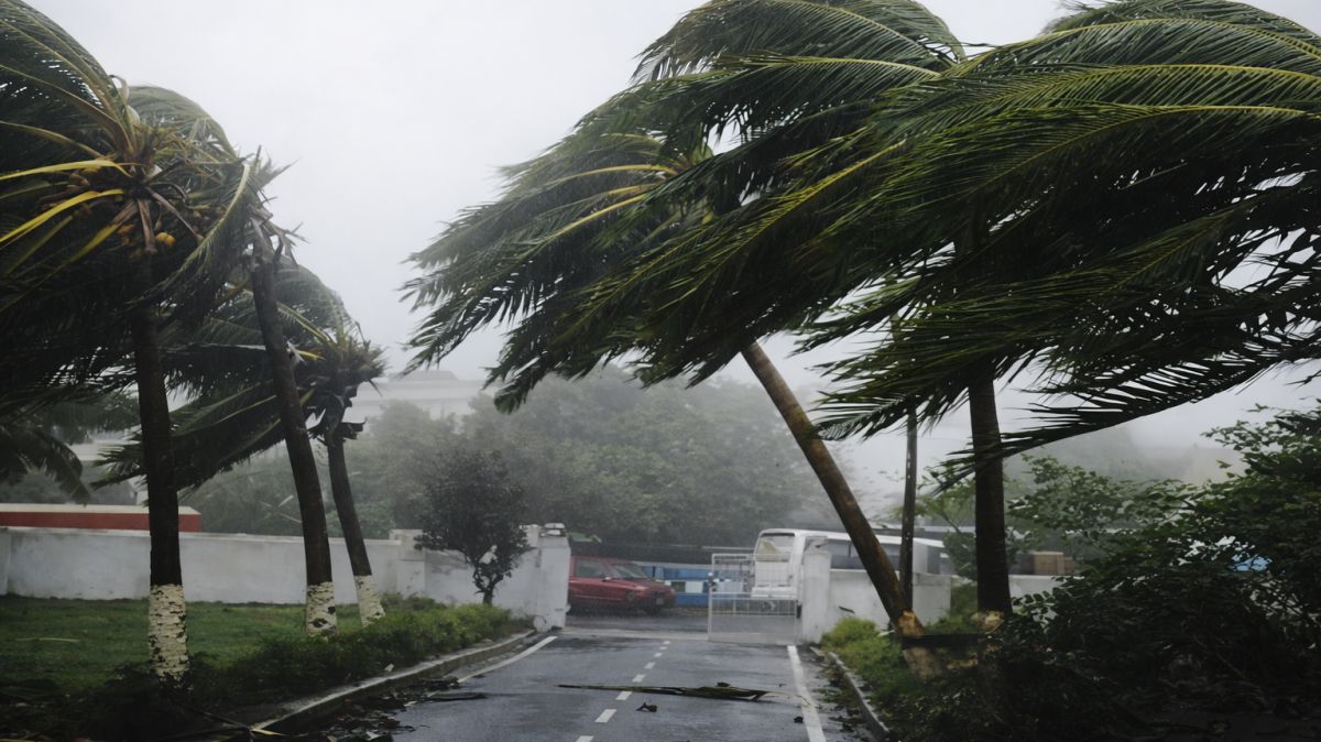 कल का मौसम 24 दिसंबर 2025 ताजा अपडेट,  उत्तर भारत में बारिश का अलर्ट कल,  दिल्ली में कोहरे और ठंड की चेतावनी,  यूपी में कल का मौसम कैसा रहेगा,  पंजाब और हरियाणा में बारिश की संभावना,  हिमाचल में बर्फबारी की ताजा खबर 24 दिसंबर,  कल का न्यूनतम तापमान दिल्ली एनसीआर,  कोहरे के कारण ट्रेनों की स्थिति कल,  राजस्थान में शीतलहर का अलर्ट 24 दिसंबर,  आईएमडी वेदर बुलेटिन नॉर्थ इंडिया